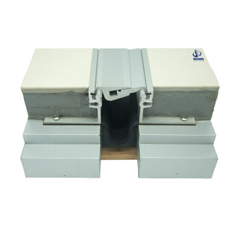 China Aluminium Alloy Floor Expansion Joint Cover